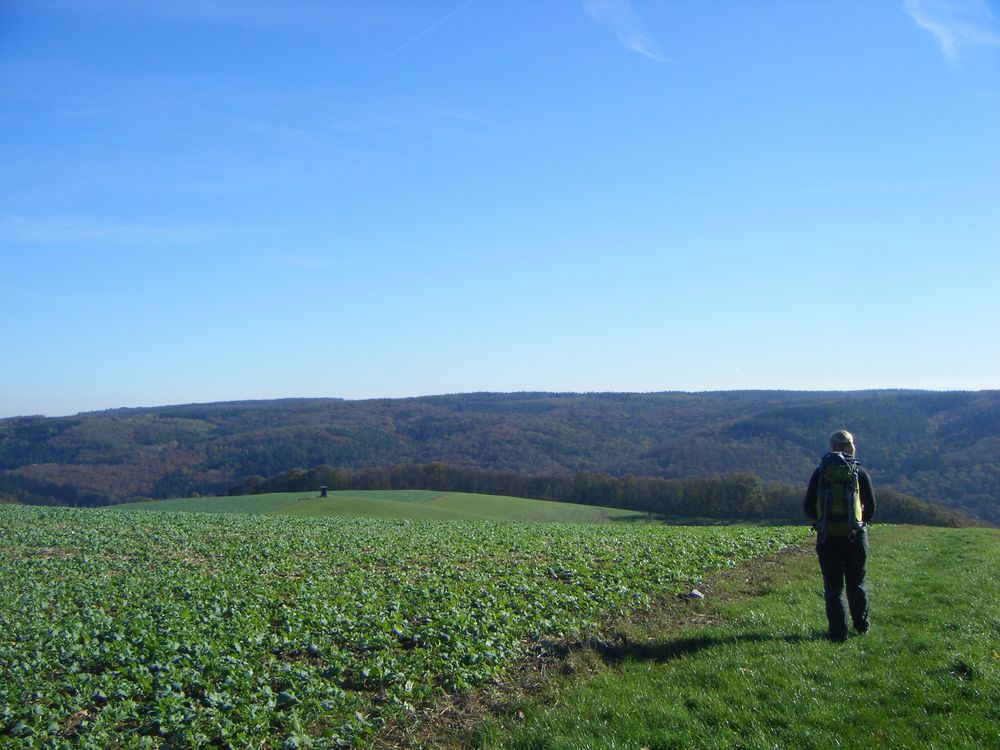 Vitaltour Willigisweg 83ucei