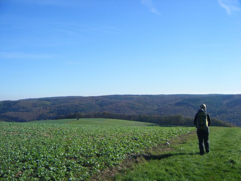 Vitaltour Willigisweg 83ucei