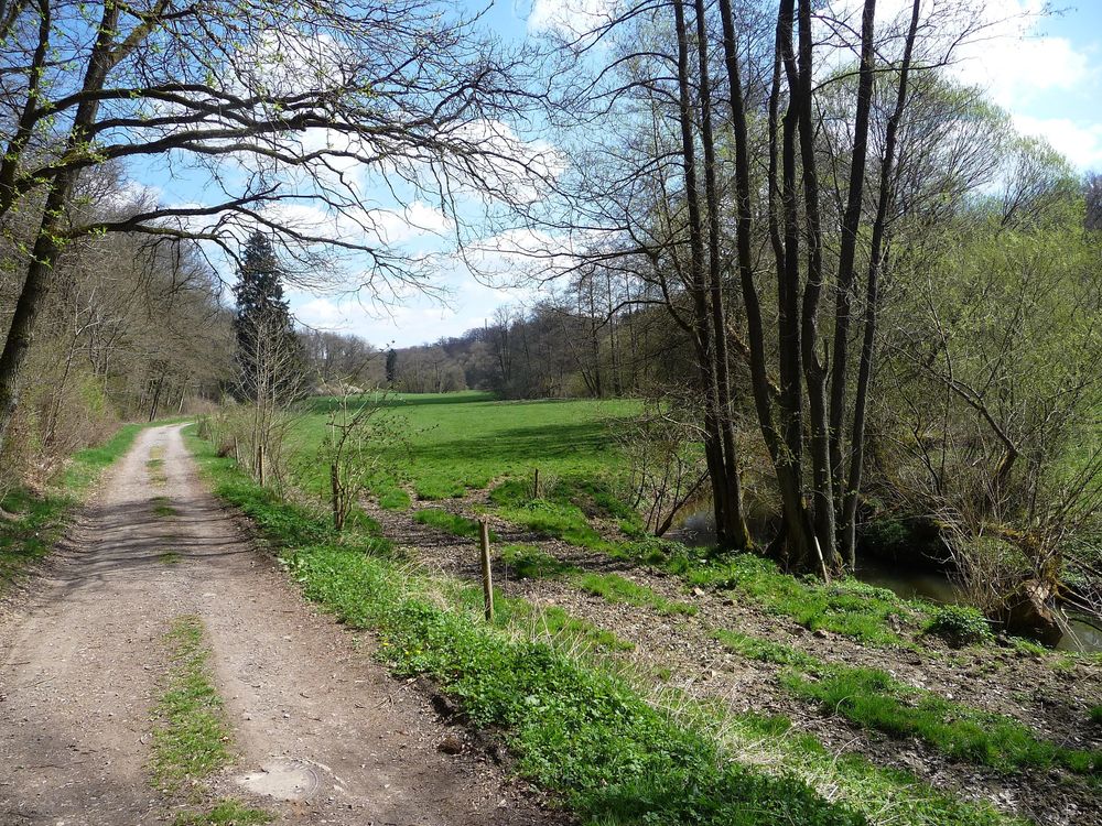 Bachwanderweg 84msuj