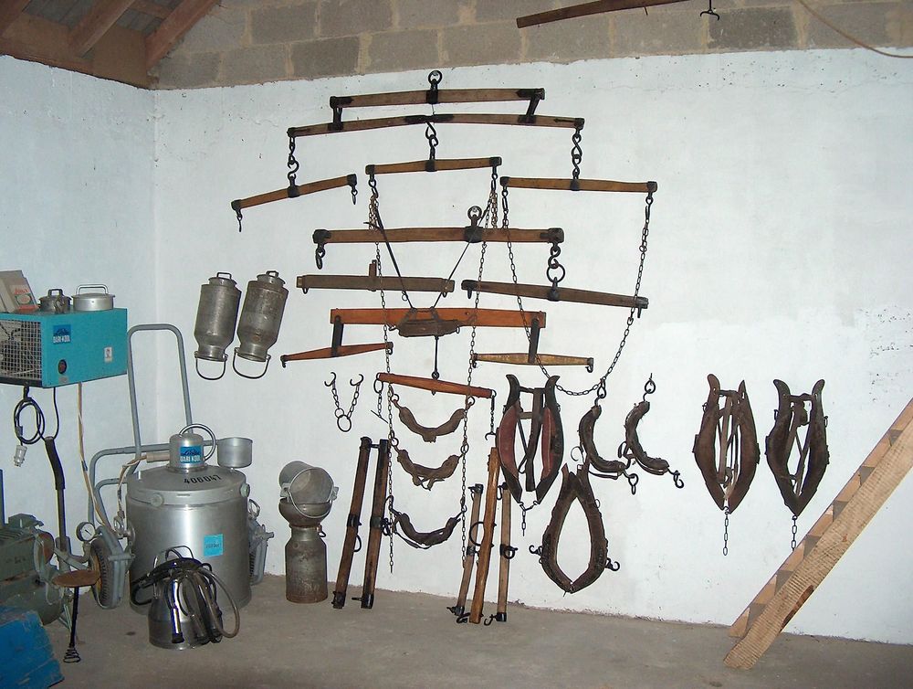 Kleines Scheunenmuseum in Kleinich 6t1bhb