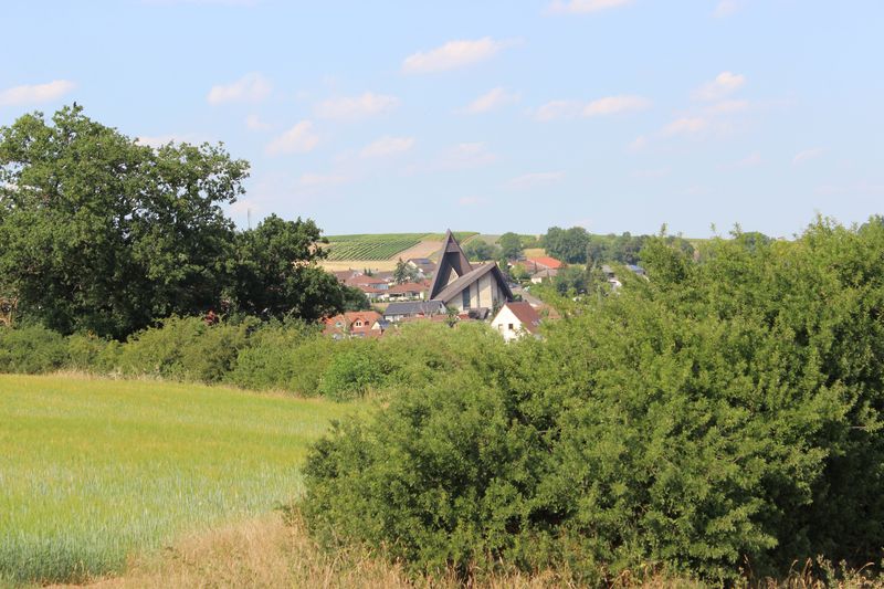 Rundtour Wißbergwanderweg in Hargesheim 86gcp7