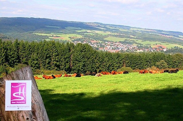 Traumschleife Primstaler Panoramapfad 8850ya