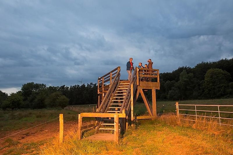 TRAUMSCHLEIFE Greimerather Höhenweg 6ukcc8