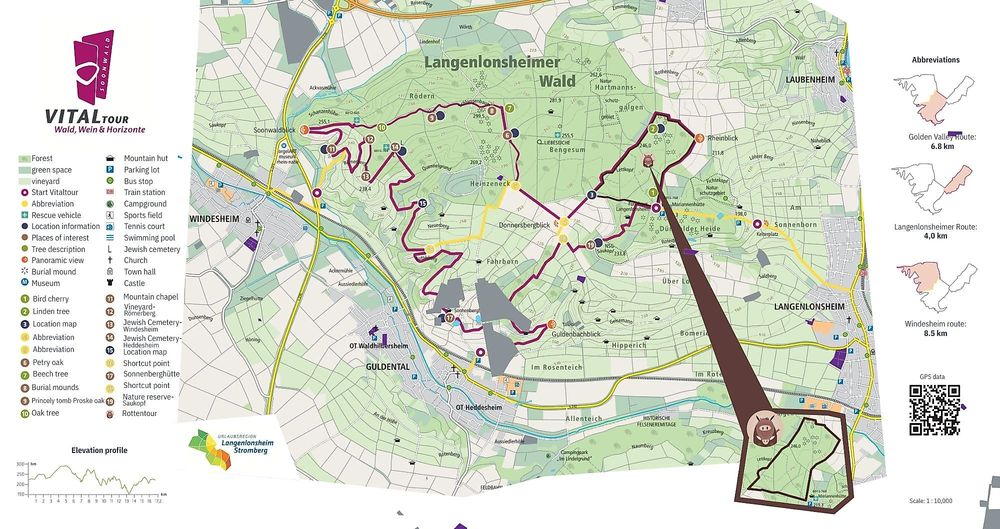 Vitaltour "Wald, Wein & Horizonte" 87kgi1