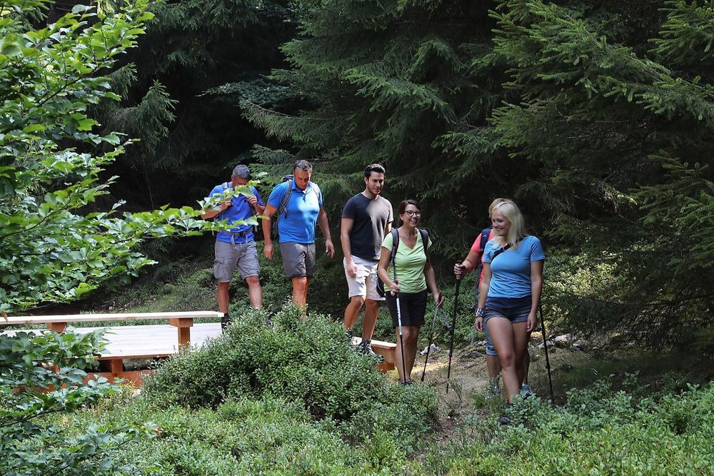 F Trekkingcamp Drachenlager im Nationalpark HH 87rwyb