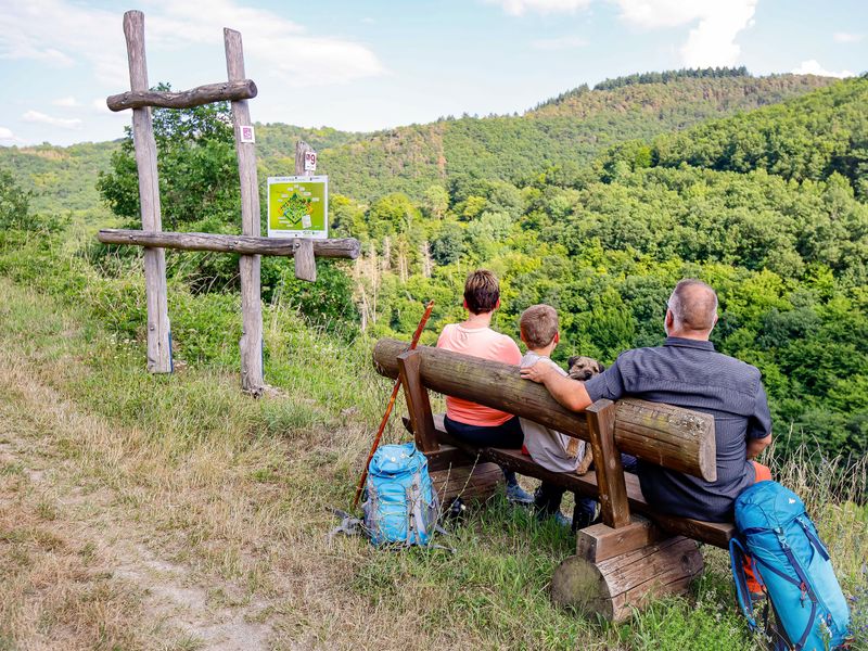 Traumschleife Schwede Bure 6y4yqs