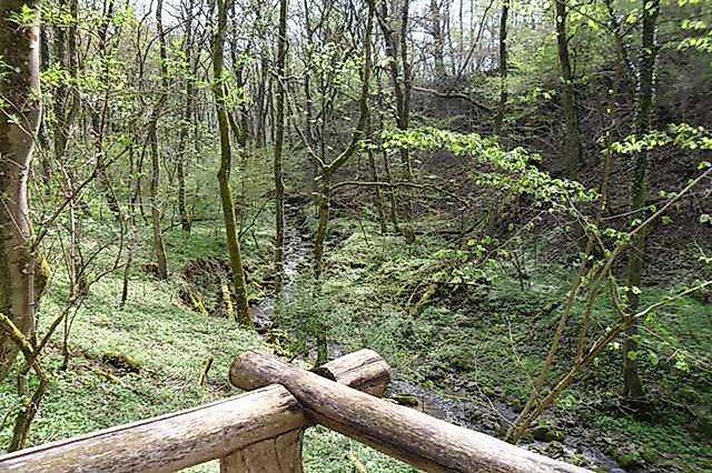 Traumschleife Hirn Gallenberg Tour 89v506