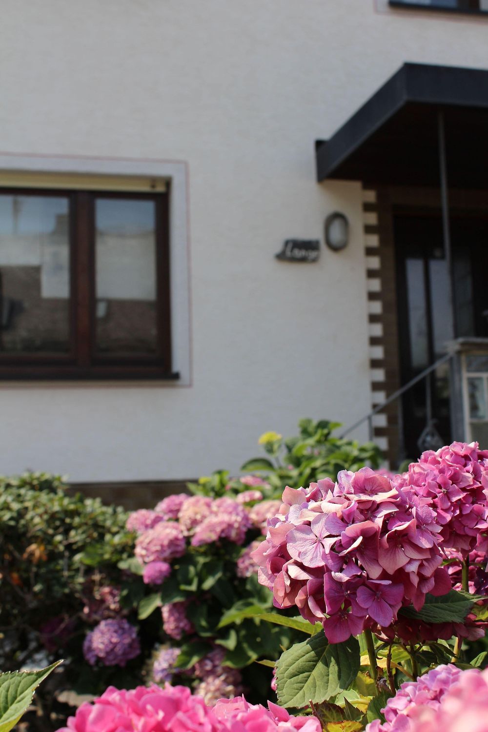 Ferienhaus Braun 6yrtrp