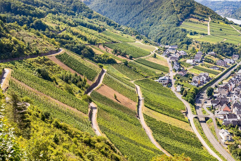Leuchtpunktwanderung Neefer Petersberg 6yu0b6