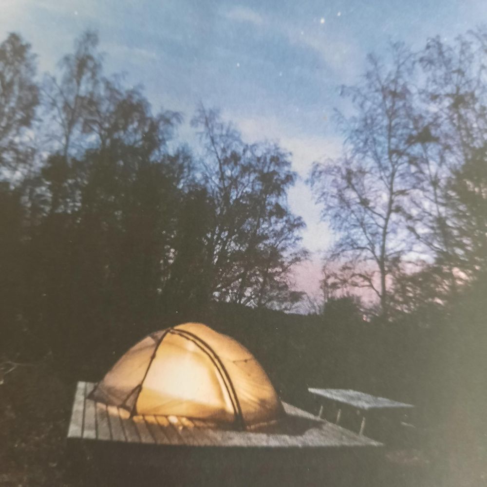 Ferienwohnung Waldesruh 6zxedk