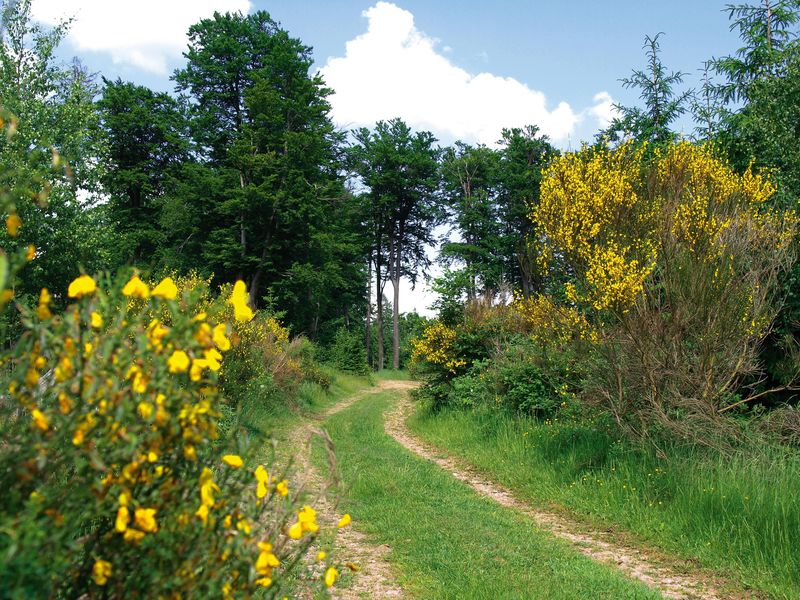 Naturpark Soonwald Nahe 7bhwb8