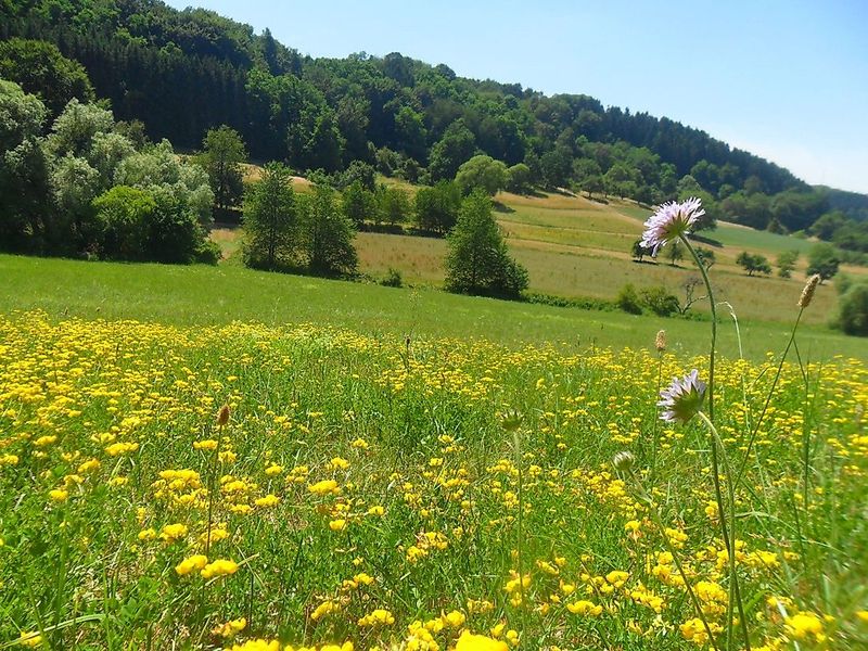 Traumschleife Oppig Grät Weg 7e6c9t