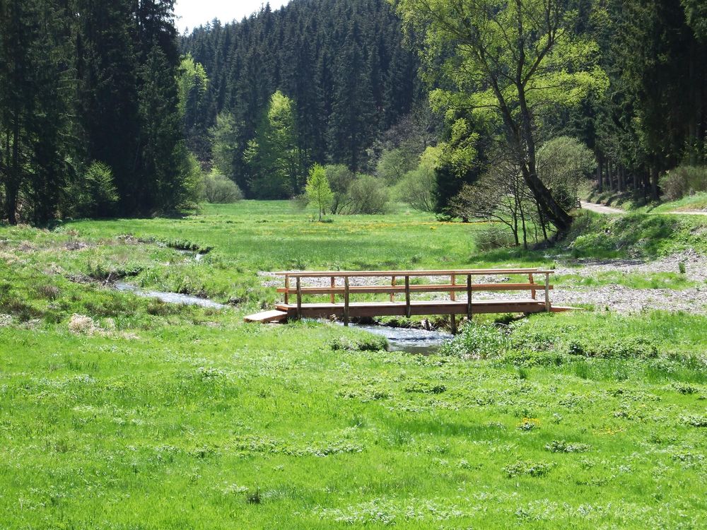 Traumschleife "Frau Holle" 7gba7i