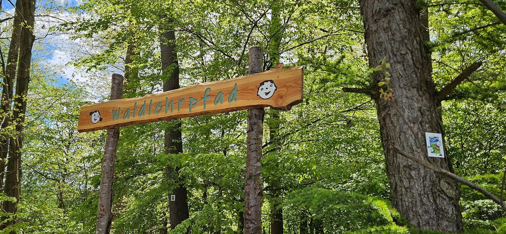 Traumschleifchen Junge Wald 7gokr4