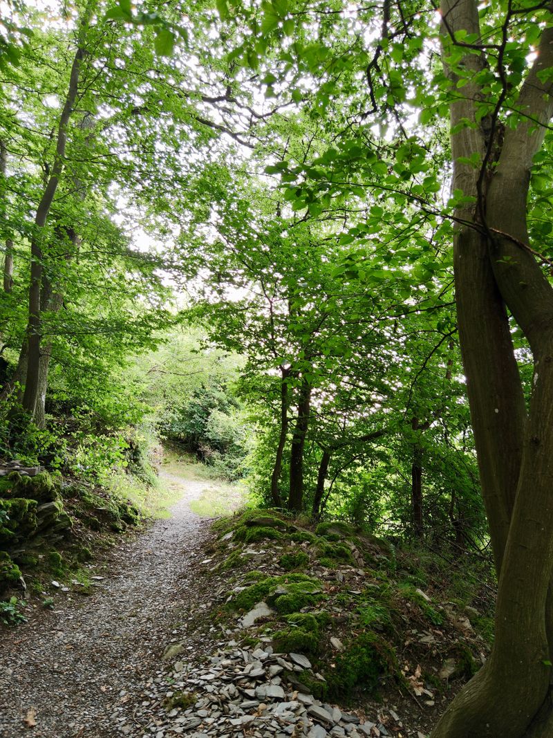 Liebesschlucht Rundwanderweg Zell (Mosel) 7l29gs