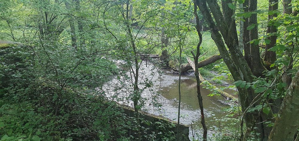 Picknickbank an der Roskerbrücke 7khfuy