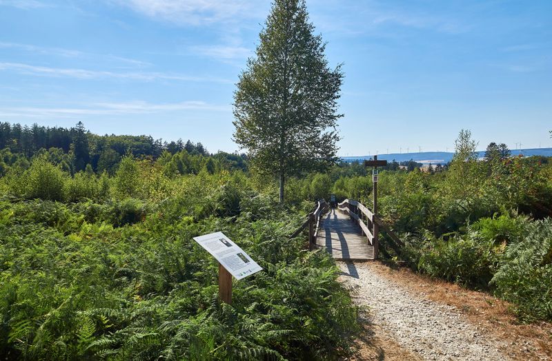 Traumschleife Ölmühlentour 7kpgvu