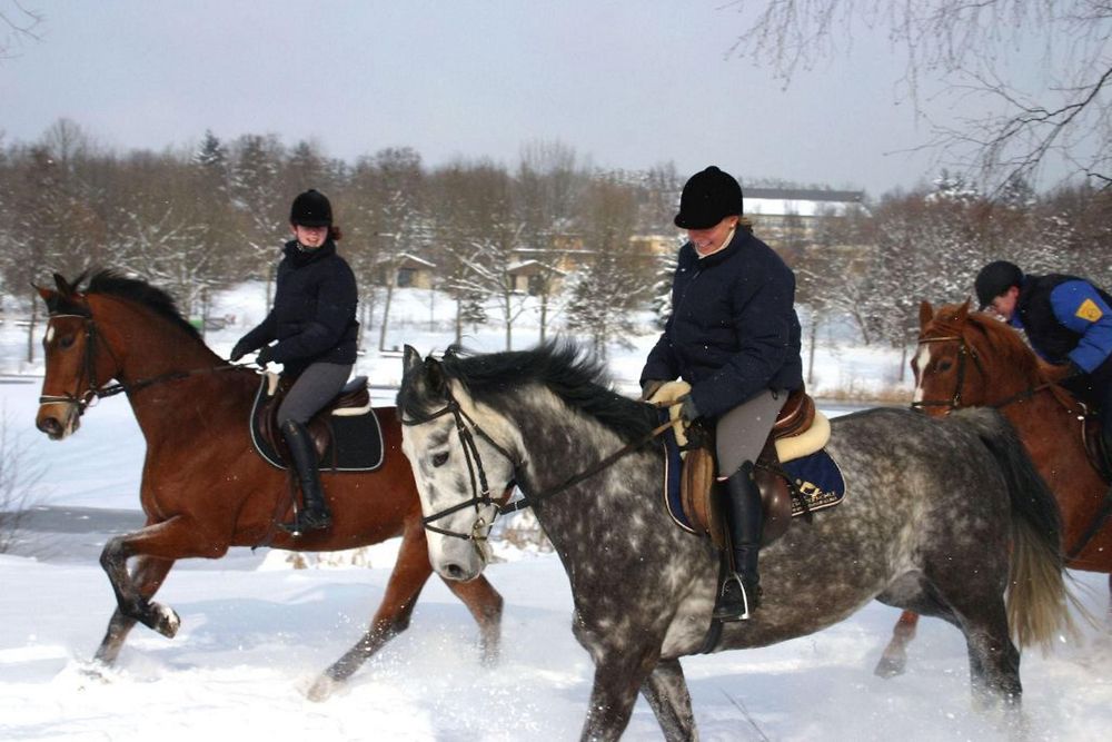 Reiten in Kell am See 7m8un5