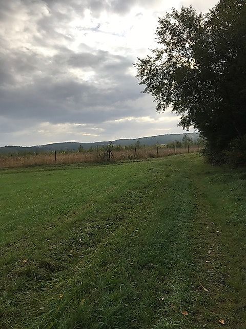 Argenschwanger Rosenburgweg 7mhn8b