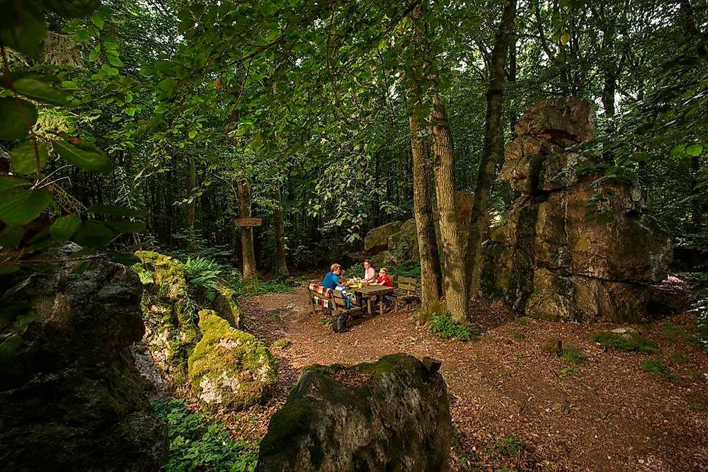 Heckelbüschfelsen   Quarzitformation im Henterner Wald 7mjm75