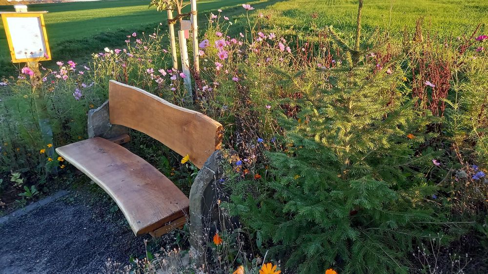 Bildstock am Wanderweg Schessels Beersche 913cmo