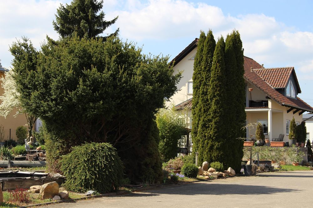 Ferienwohnung Palmenhof 7o6n3p