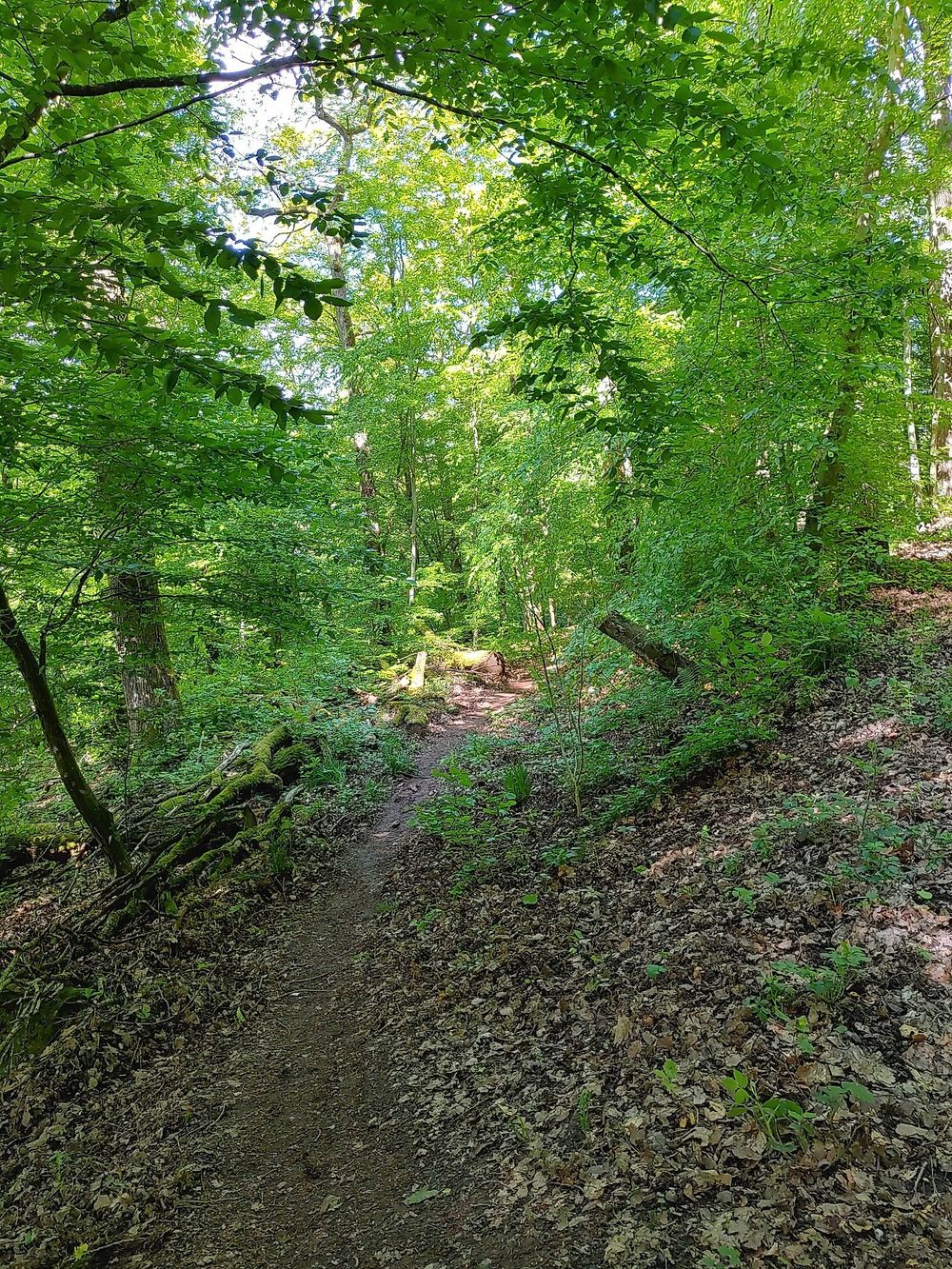 Zeller Land Mountainbike Tour über St
