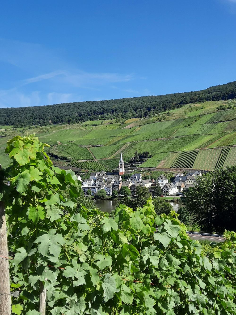 "Marienburg" Rundwanderweg im Zeller Land 94islr