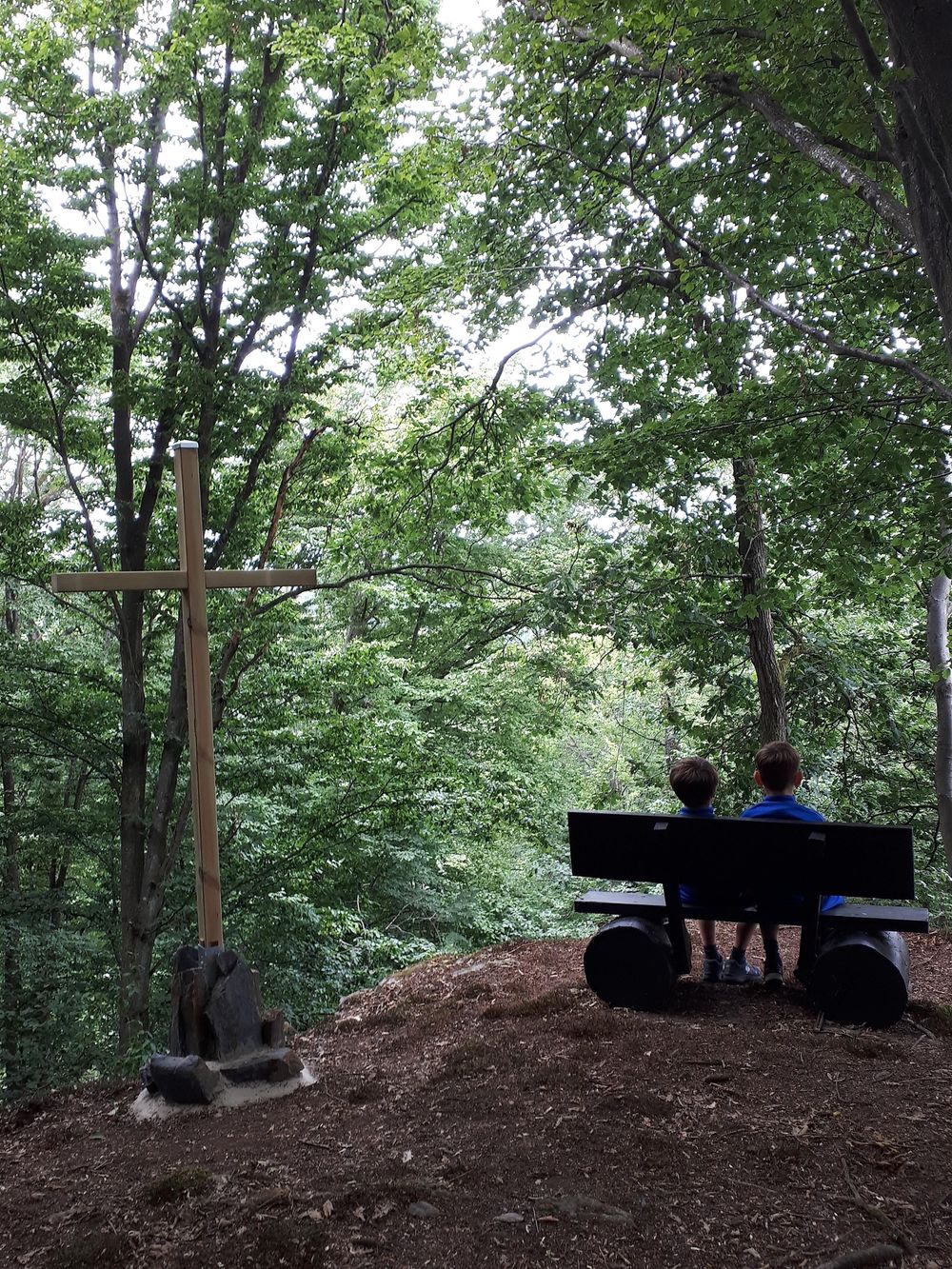 Hoch Ley am Wanderweg Schessels Beersche 96help