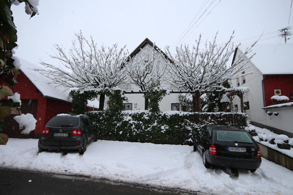 Gasthaus Gräff 987shv