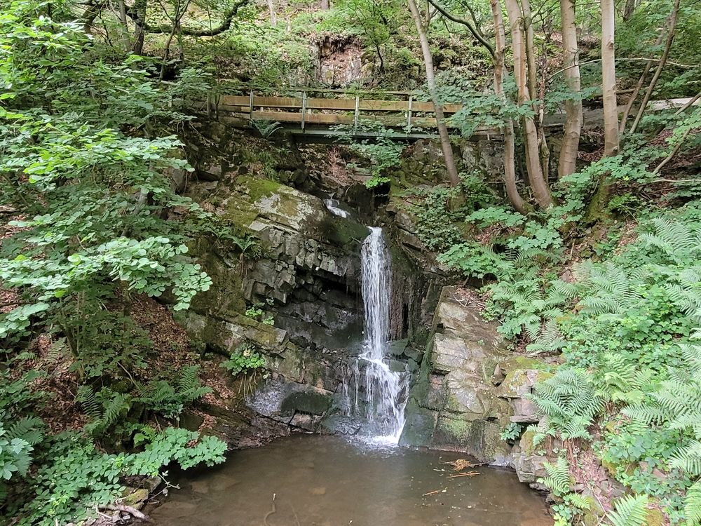 Saar Hunsrück Steig   02