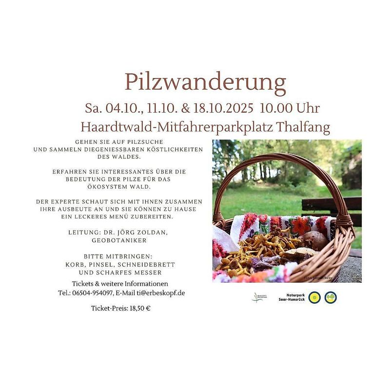 events/pilzwanderung-bab4
