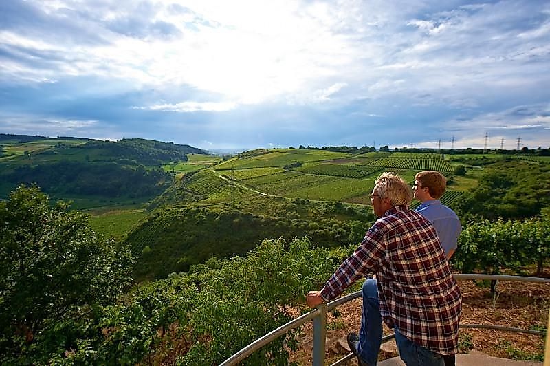 Weingut und Gästehaus Franzmann 995lxp