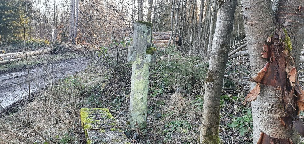 Rheinhöhentour St