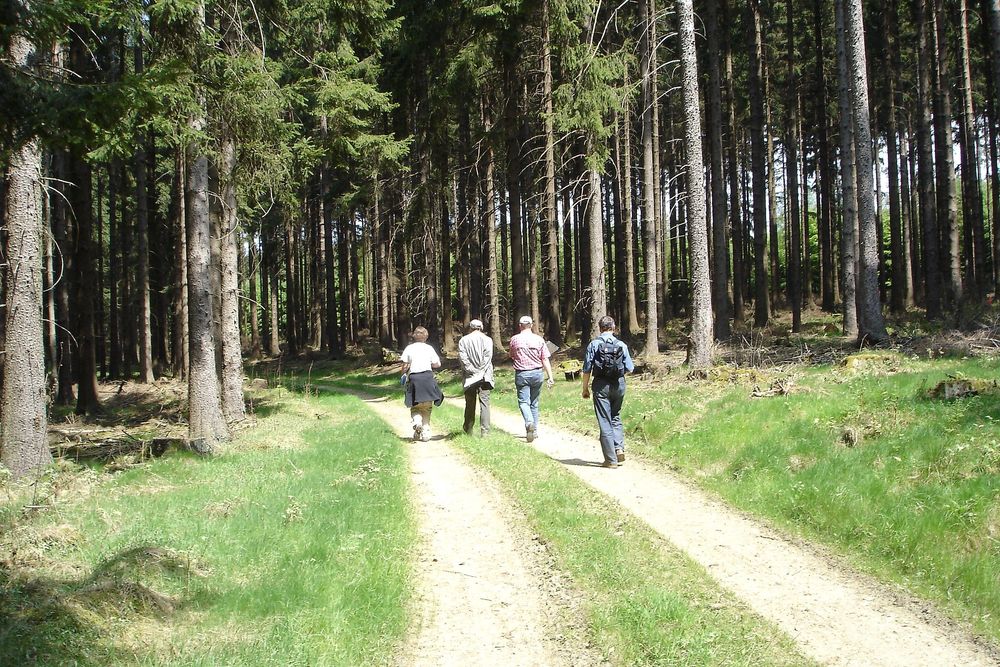 Ausoniusweg 04