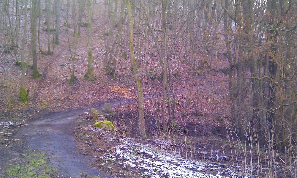 Soonwaldsteig   Zuweg Hennweiler 2 8afq8k
