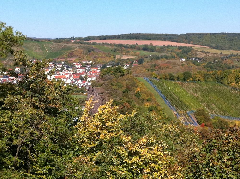 Roter Punkt: von Rüdesheim nach Kreershäuschen/Winterbach zum Soonwaldsteig (über Bockenau) 8e7va7