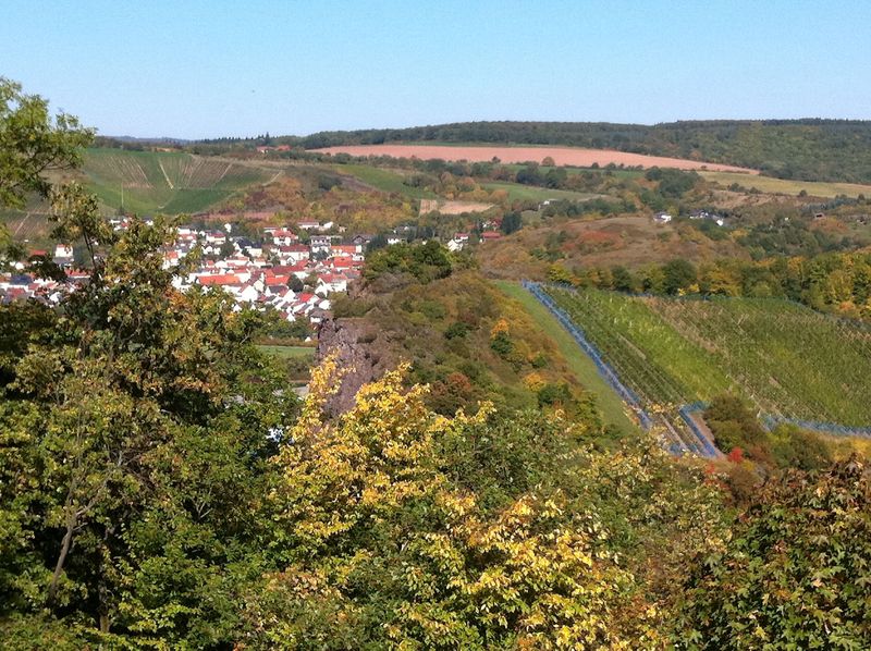 touren/roter-punkt-xvon-ruedesheim-nach-kreershaeuschen-winterbach-zum-xsoonwaldsteig-ueber-bockenau-03f3