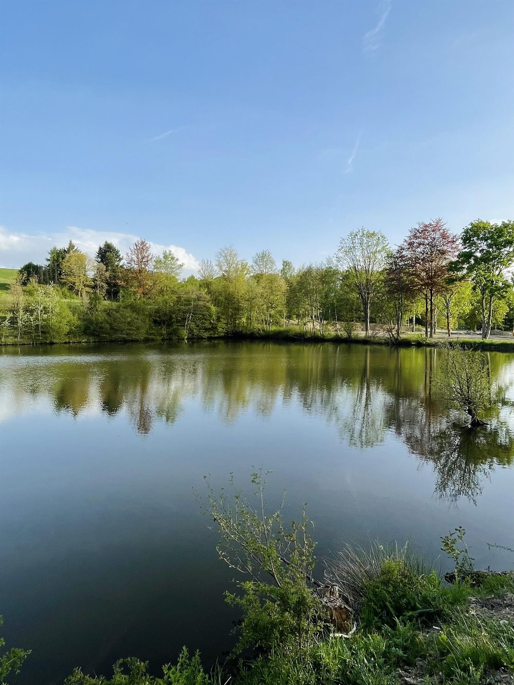 Ferienpark Gehaichnis am See 8j5u40