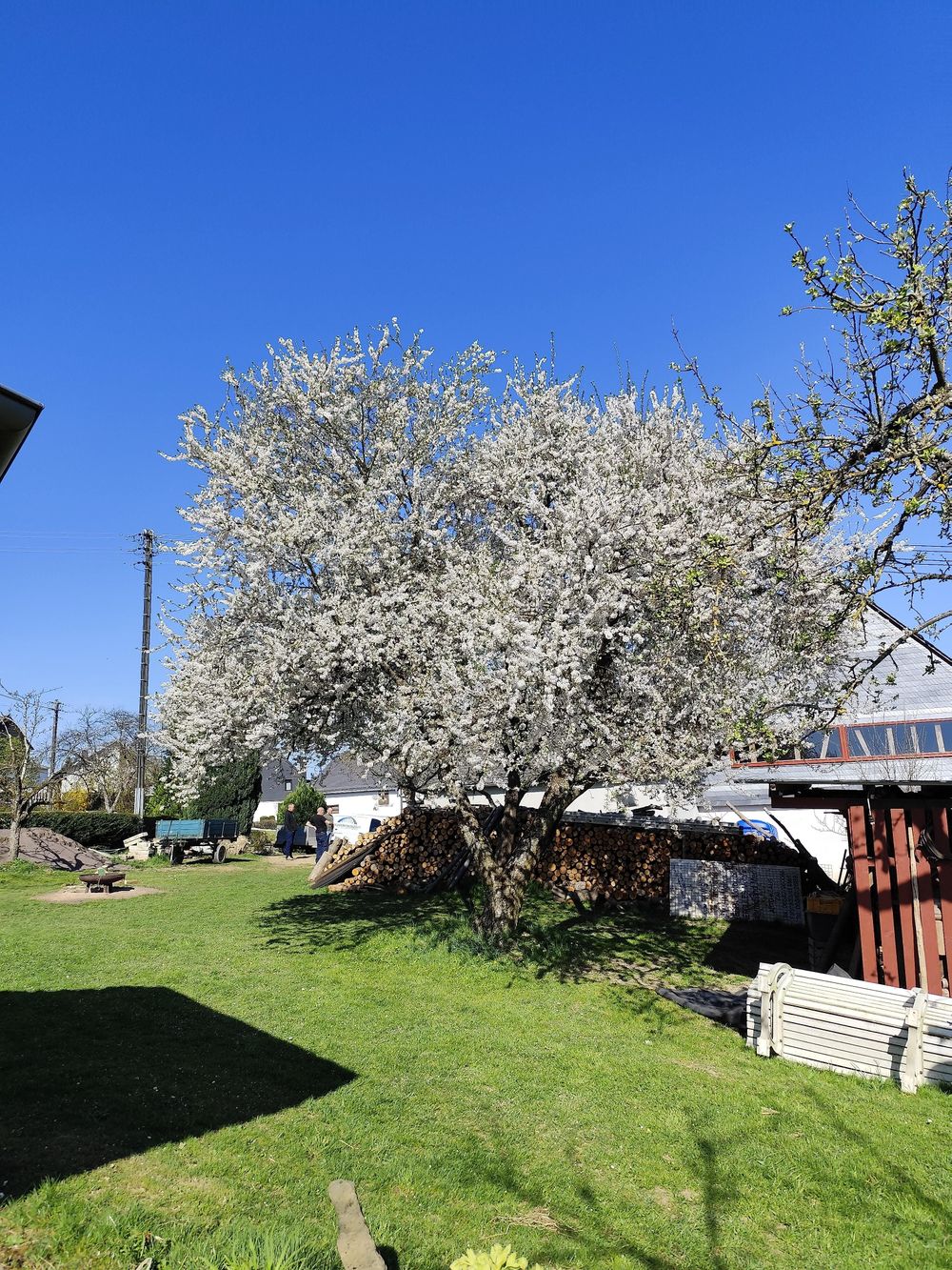 Ferienhaus Süd 1 8k5fb9