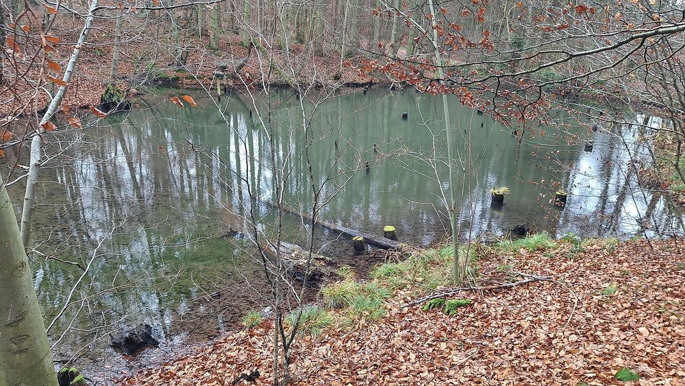 Teich am Kriesbächelche 8msmij