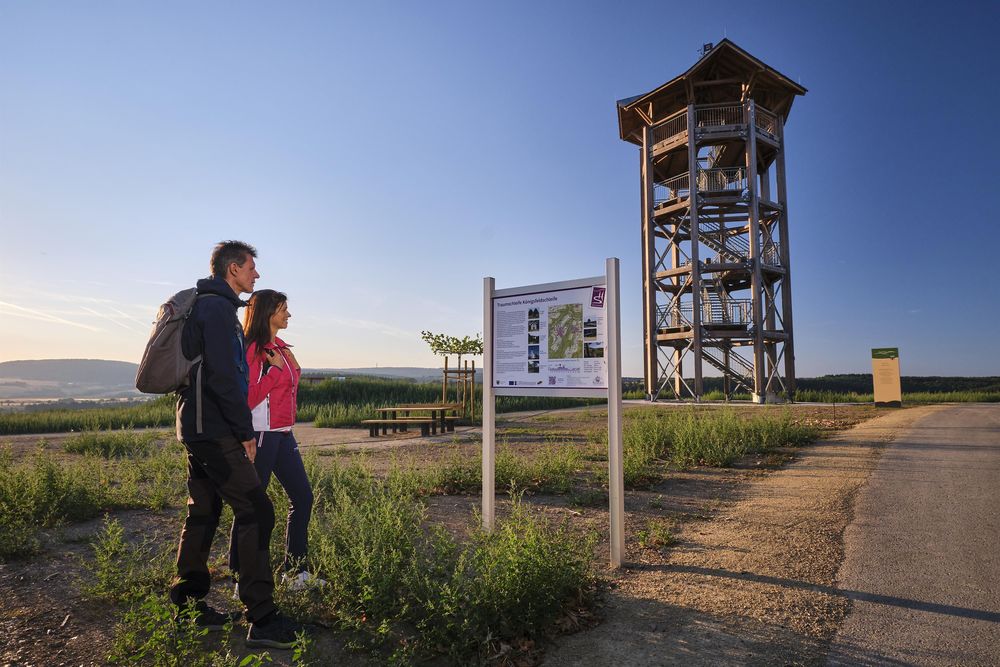 Aussichtsturm Nationalparkblick 8no432