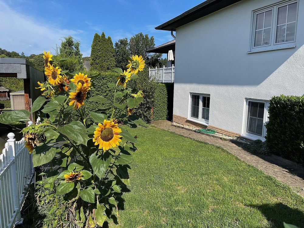Ferienwohnung Sauer 8qn34h