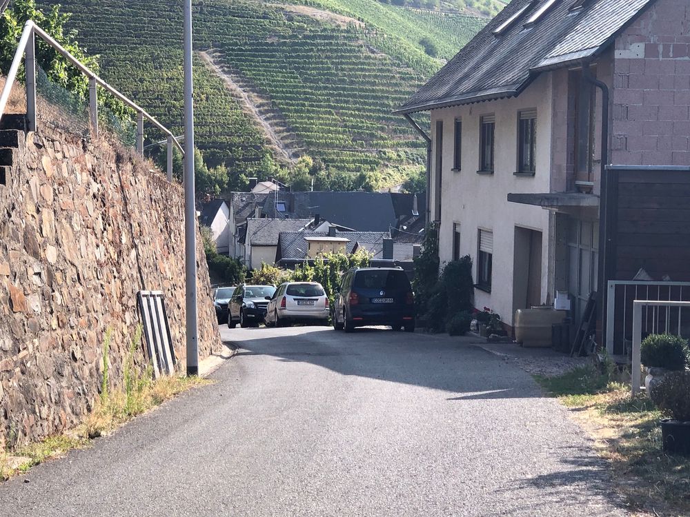 "Pissamann" Weinlehrpfad Zell Merl 8qy1sm