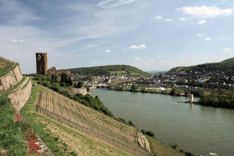 tochten/9-etappe-hildegard-xvon-bingen-pilgerwanderweg-binger-hildegard-weg-128e