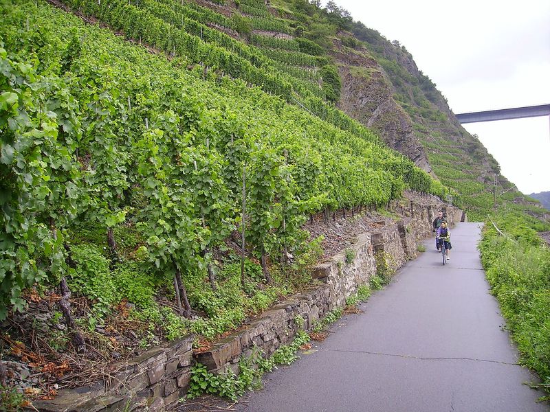 Deutsches Eck Tour 8t81wf