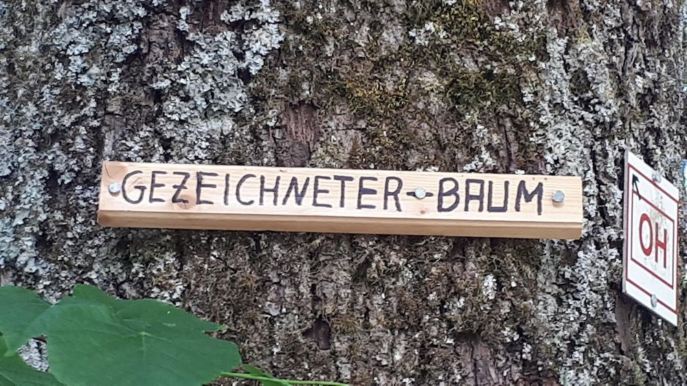 Gezeichnete Baum 8rv4nv