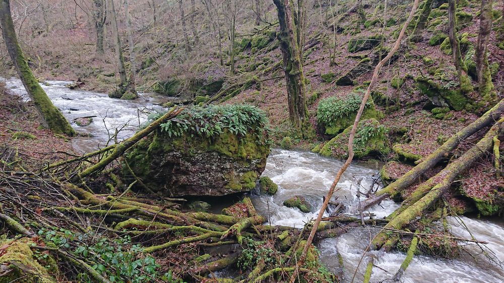Steinrausch im Baybachtal 8v8rh3