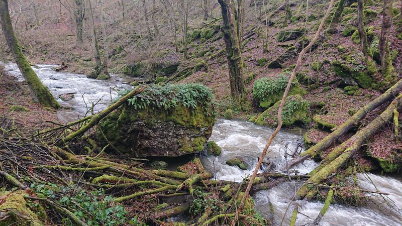 pois/steinrausch-im-baybachtal-8abb