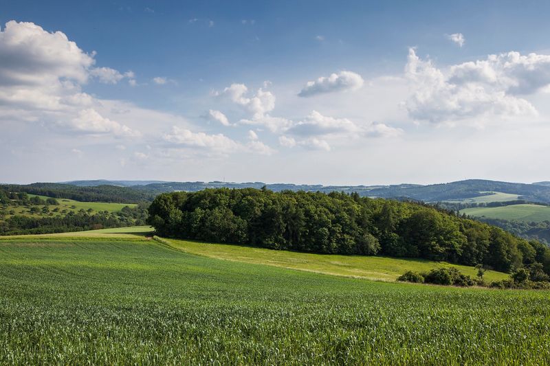 Saar Hunsrück Steig   14